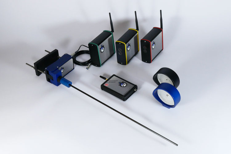 Alpenhunde-Timingset-Race